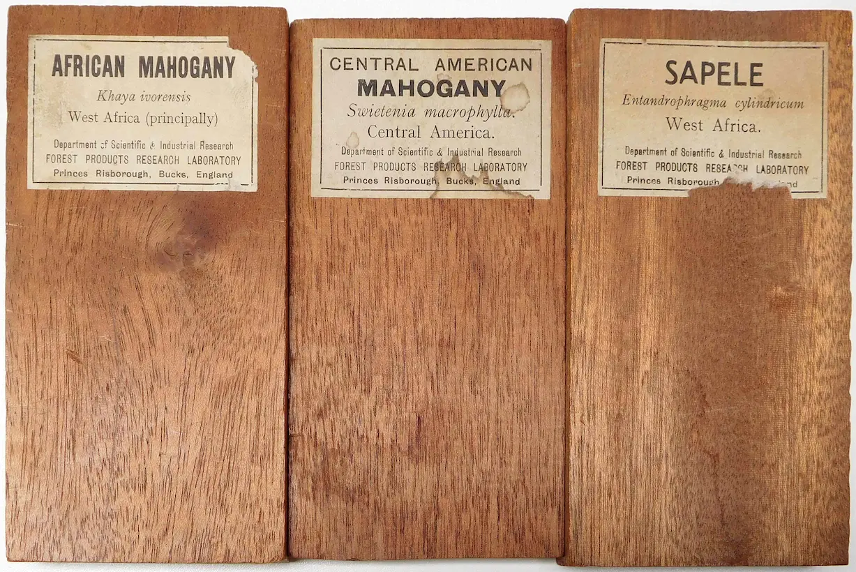 Mahogany wood compared with two similar hardwood lookalikes side by side
