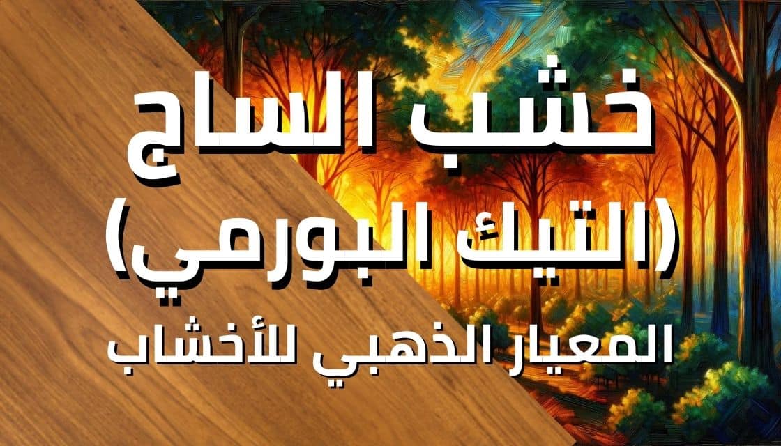 غابة من خشب الساج أو خشب التيك البورمي