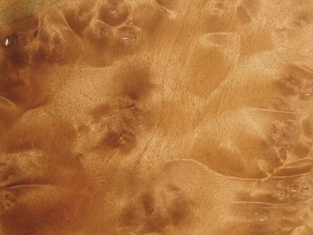 Birdseye Maple veneer