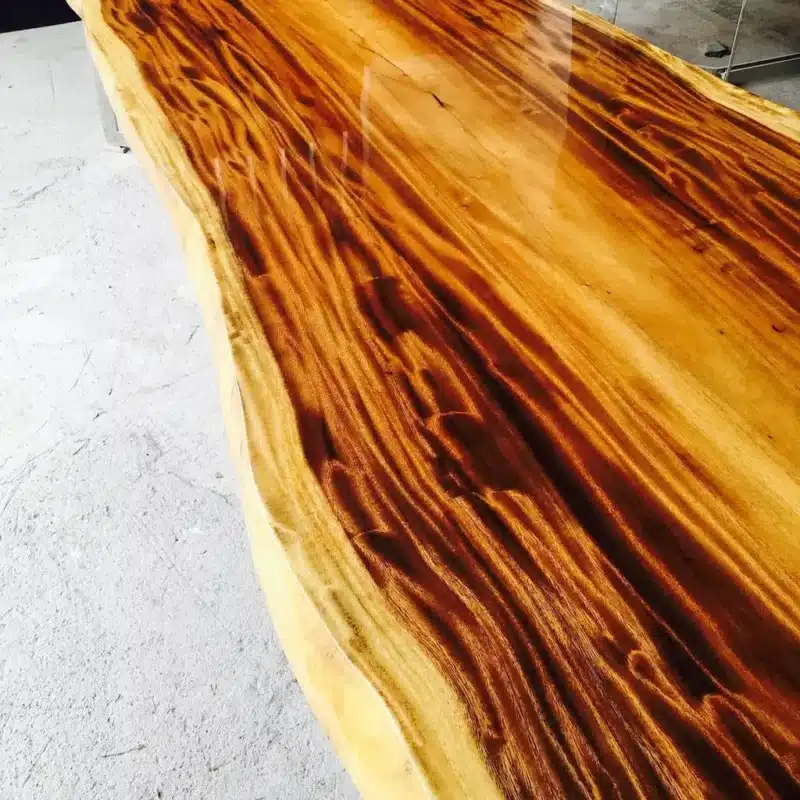 Taiwan Acacia, Acacia Confusa