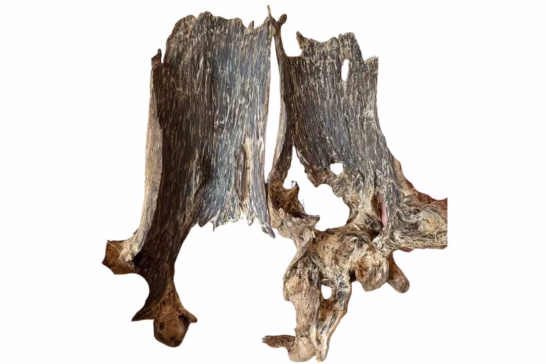 agarwood