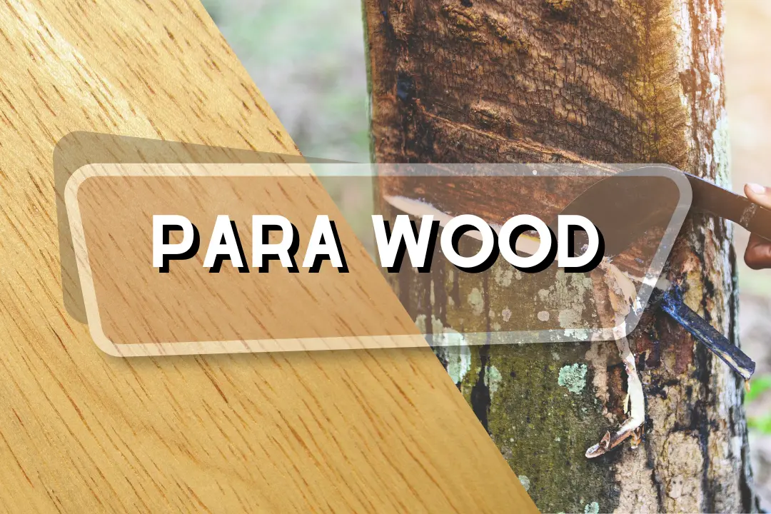 Parawood