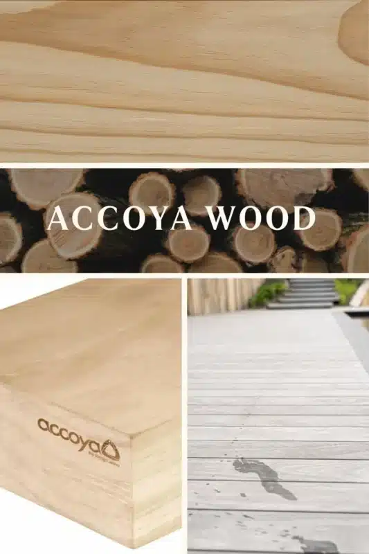 Accoya wood decking showing durable finish and natural grain for outdoor applications