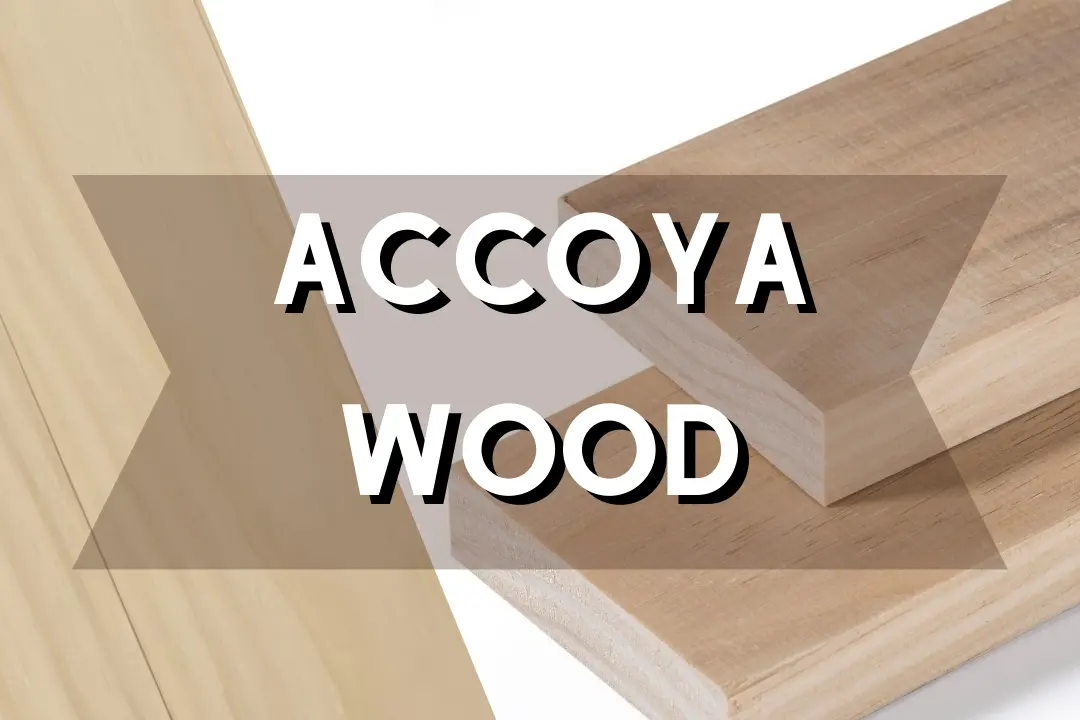 Accoya Wood
