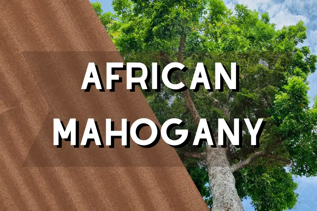 African mahogany wood