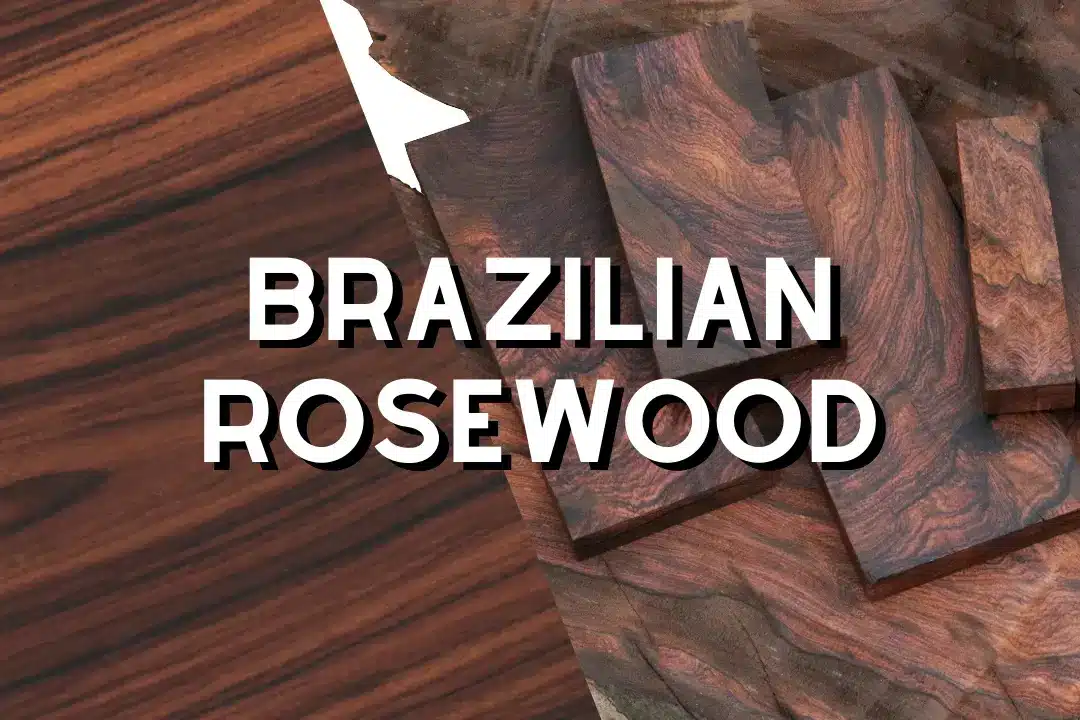 Brazilian Rosewood