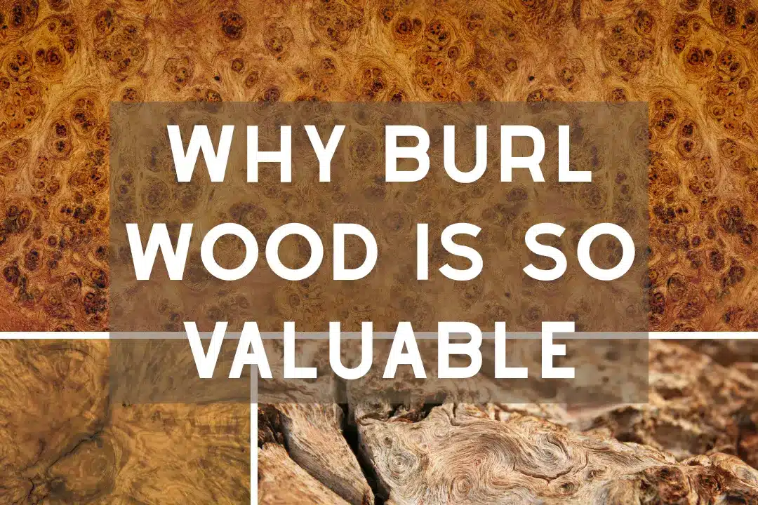 Burl Wood
