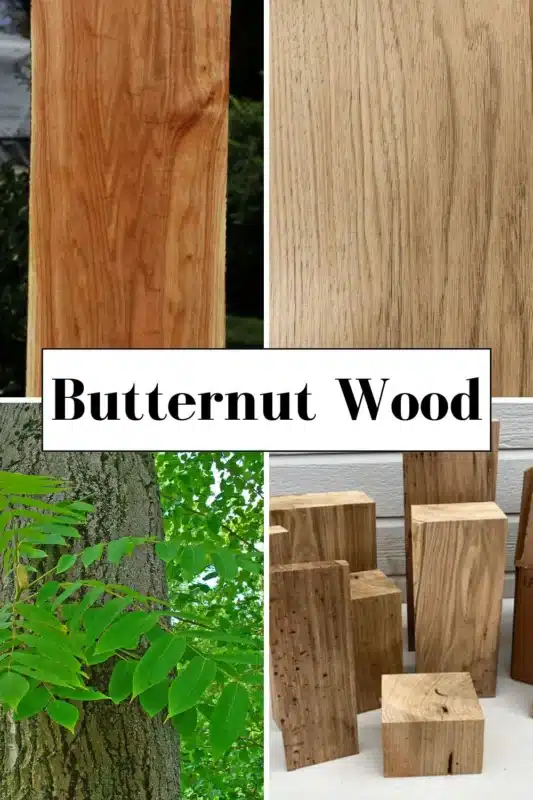 Butternut Wood pin