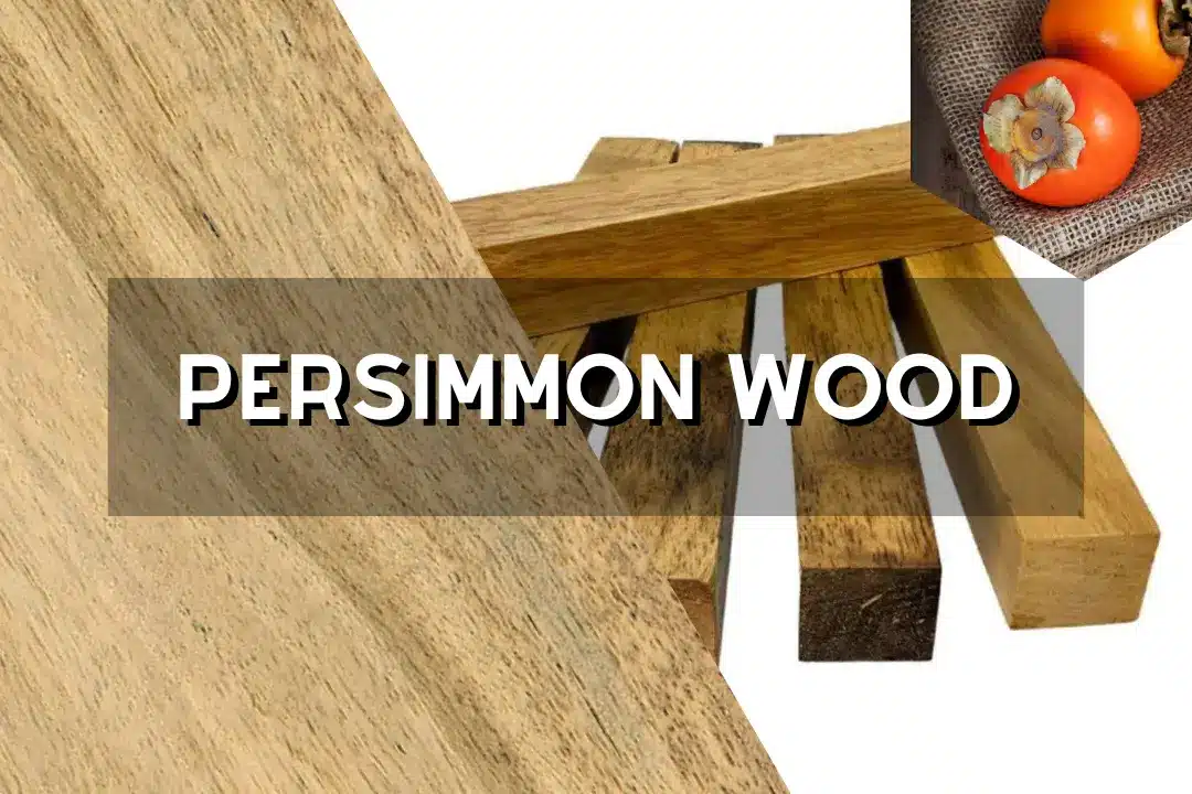Persimmon Wood