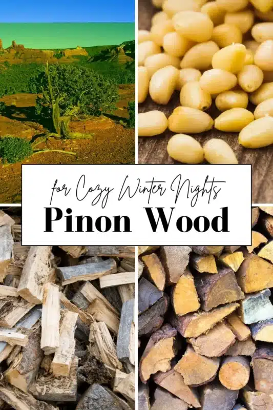 Pinon Wood pin
