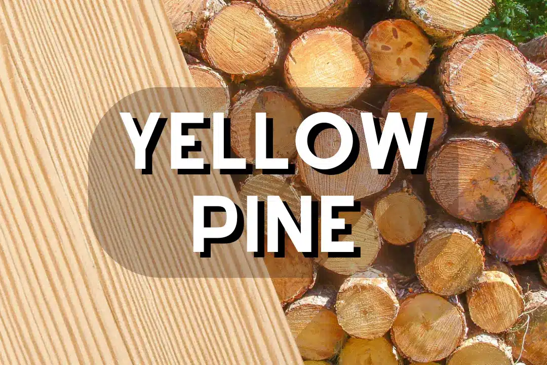 Yellow Pine wood