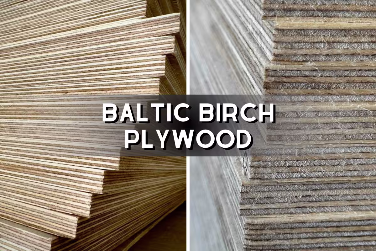 Baltic birch plywood
