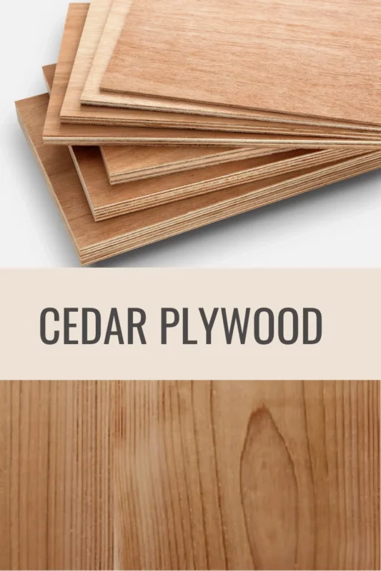 Cedar Plywood 1