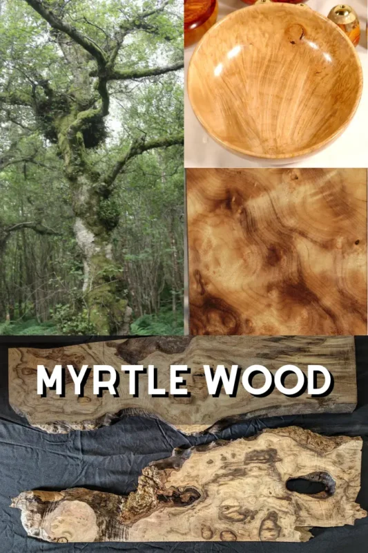 Myrtle Wood 1