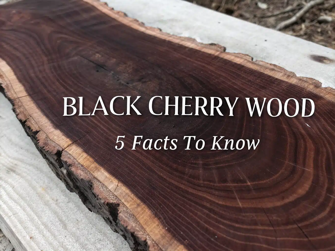 black cherry wood