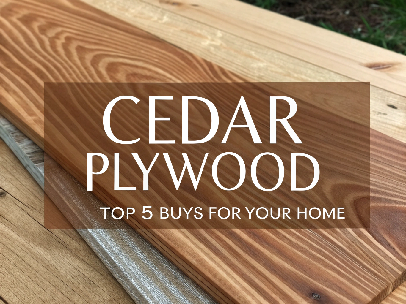 cedar plywood