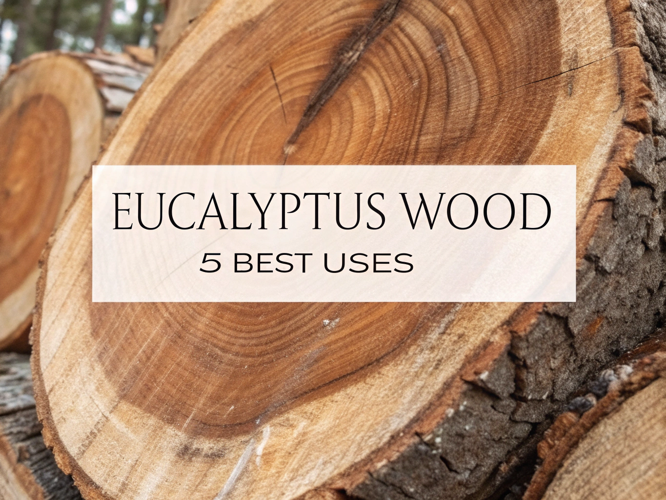 eucalyptus wood