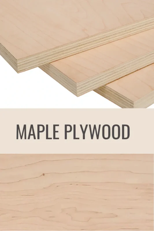maple Plywood 1