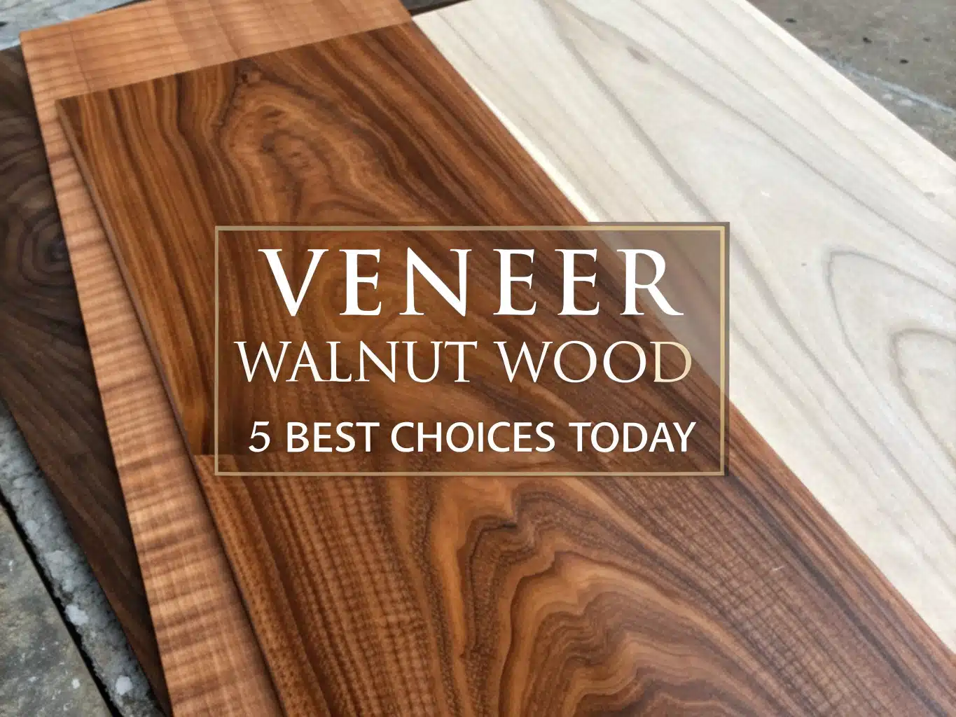 veneer walnut wood