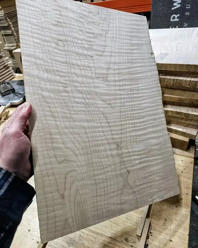 Flame maple