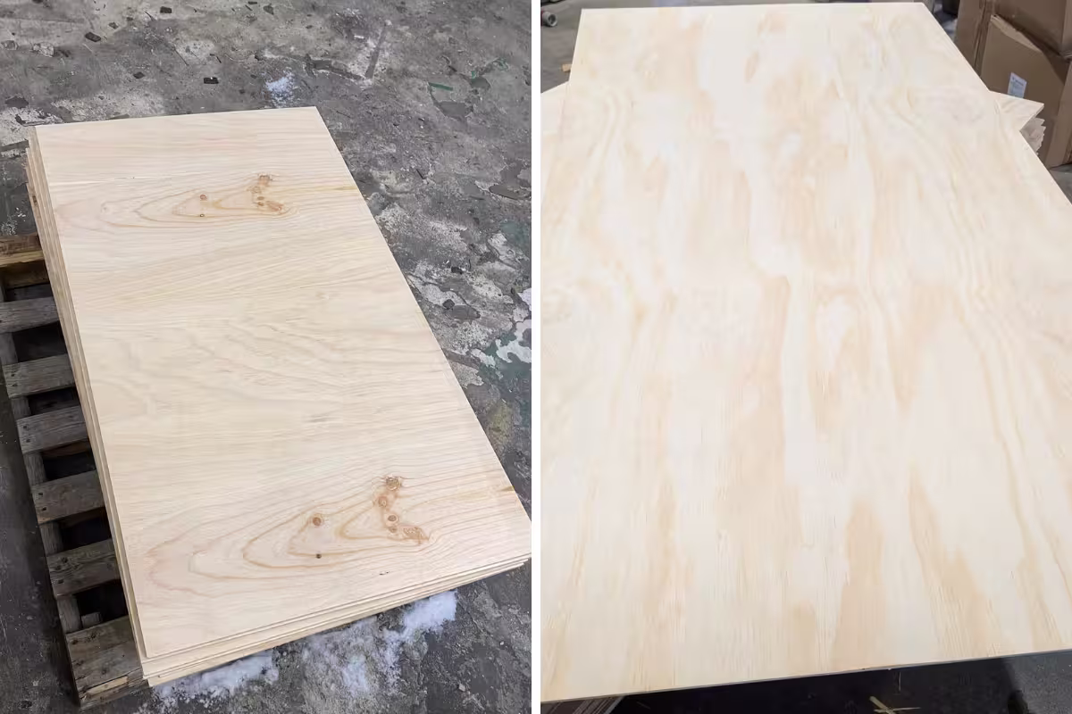 Sanded pine plywood