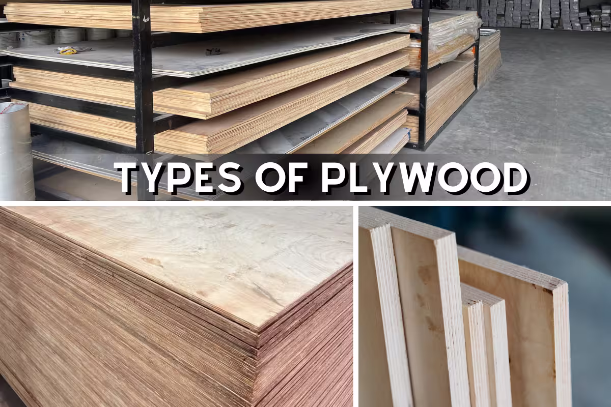 Various types of plywood displayed neatly